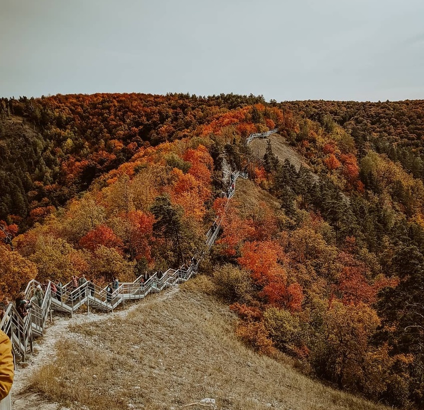 Экскурсии для школьников