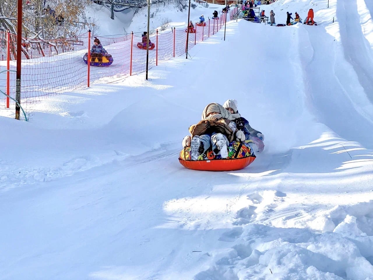 Экскурсии для школьников