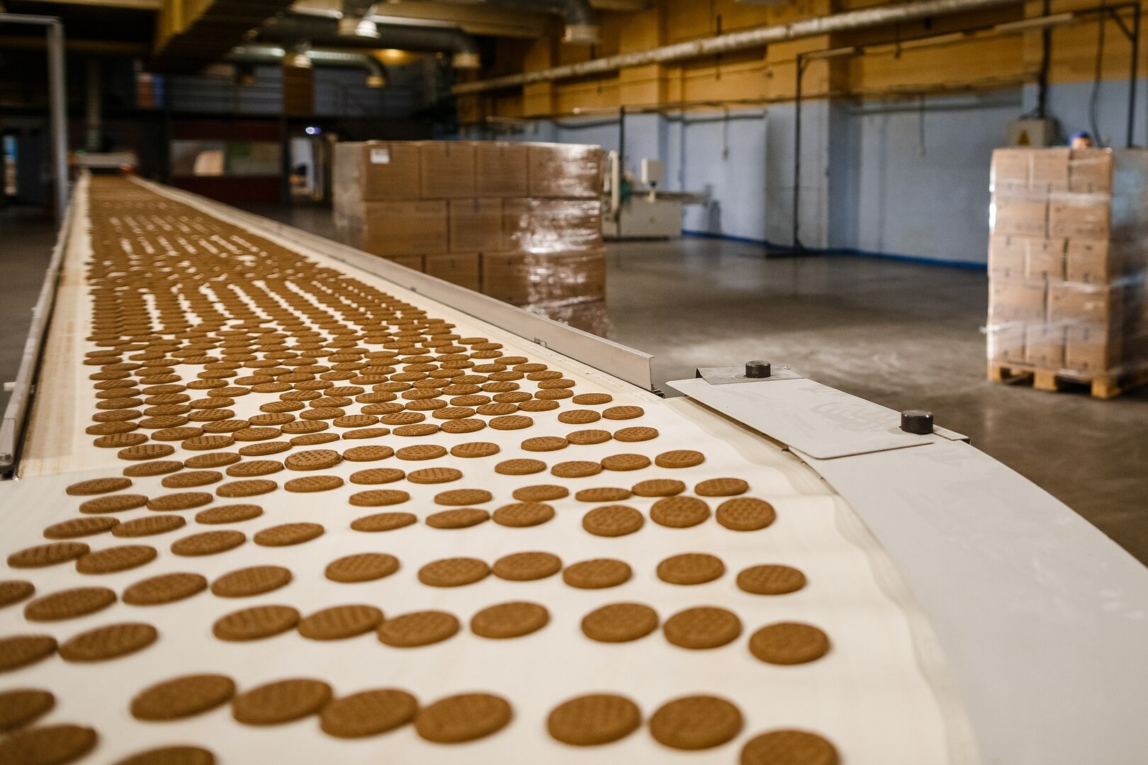 Экскурсия на фабрику печенья