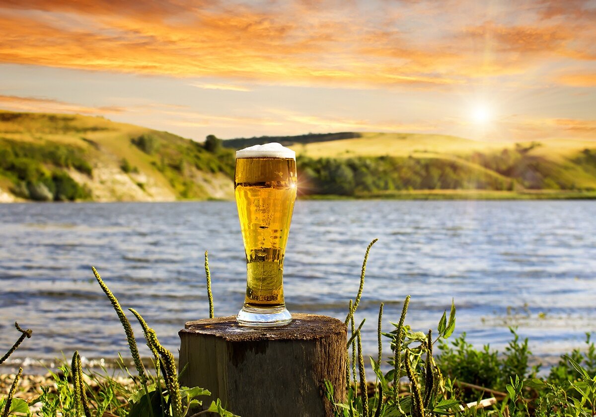 Производство пива