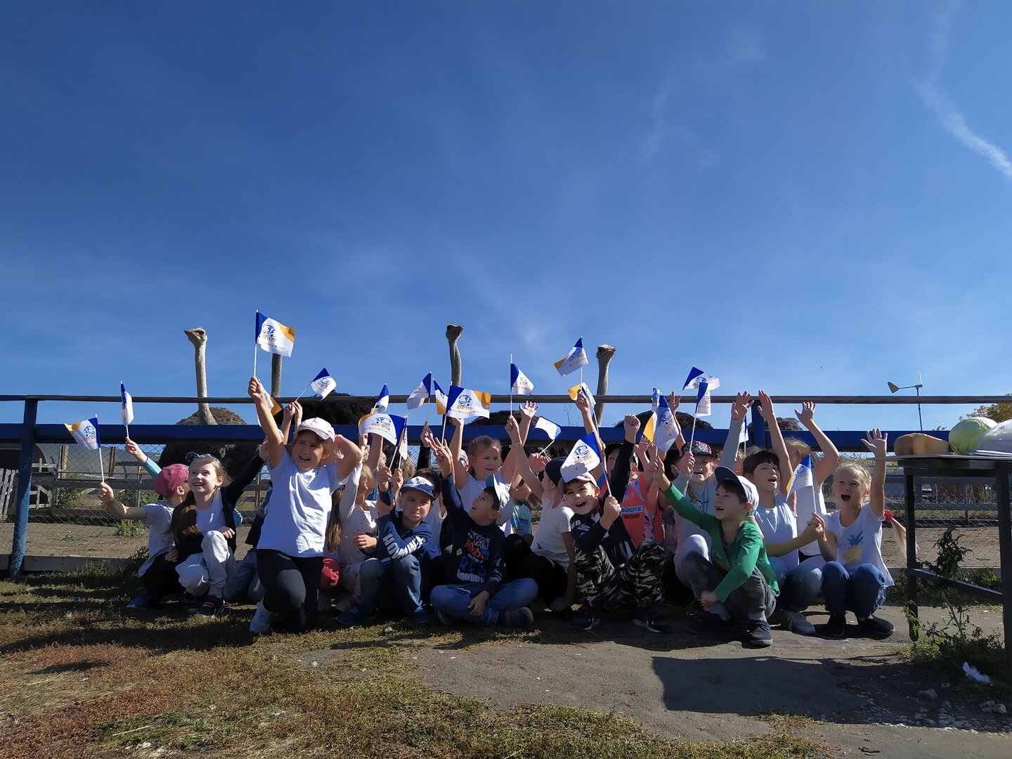 Контактная ферма в Самарской области